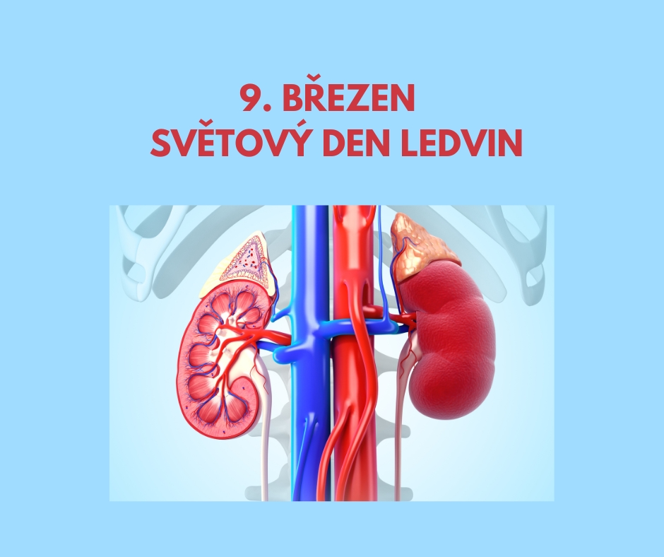 Na 9. březen letos připadá Světový den ledvin