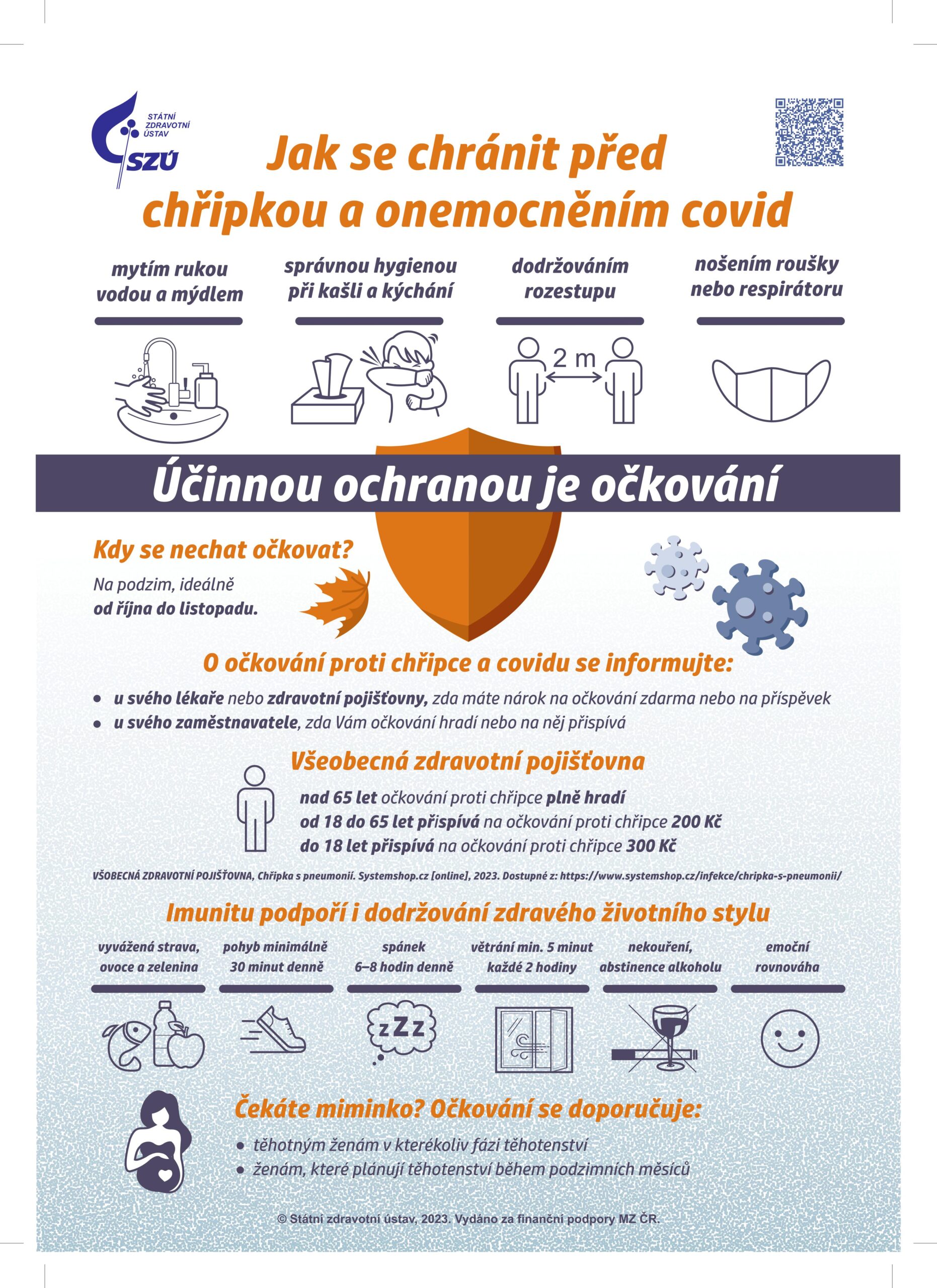 Plakát - jak se chránit proti chřipce a covidu-19