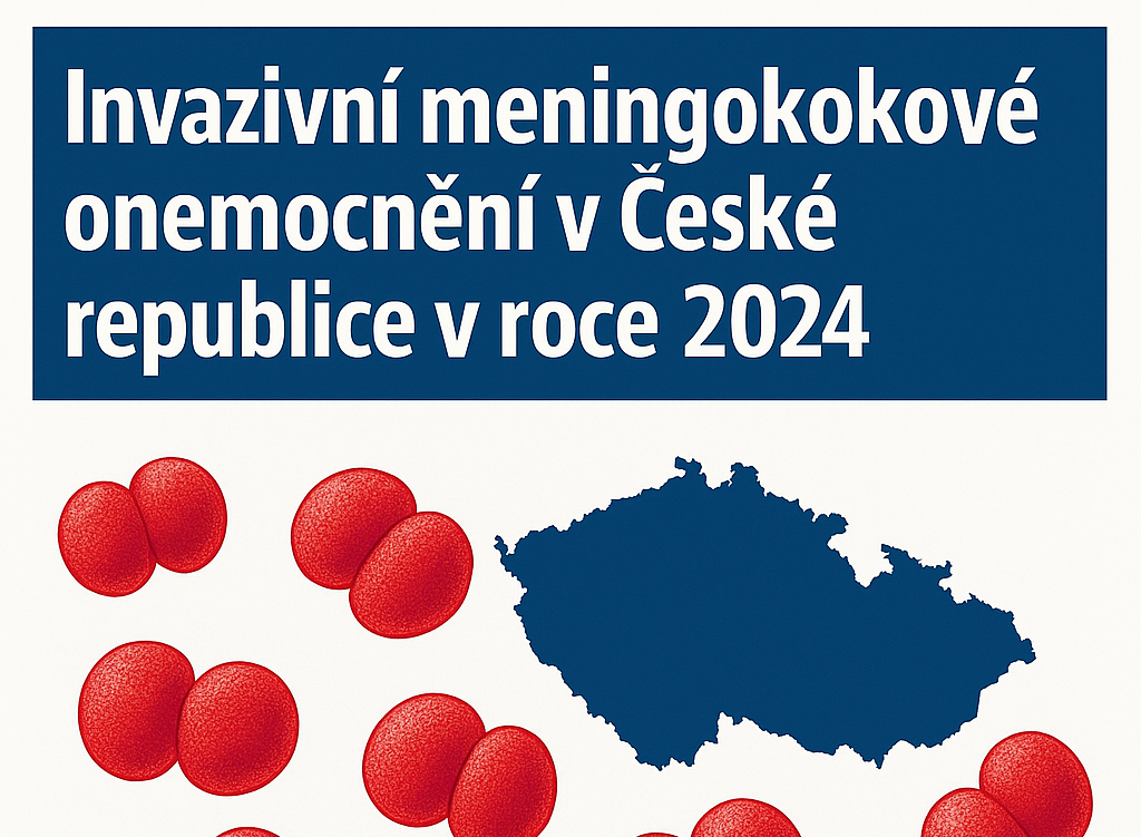 Invazivní meningokokové onemocnění v České republice v roce 2024. Invasive meningococcal disease in the Czech Republic in 2024