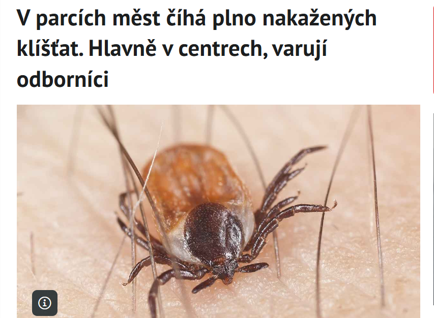Kateřina Kybicová pro Deník: Infikovaná klíšťata jsou nejčastěji v oklolí obydlí, blíže centrům měst