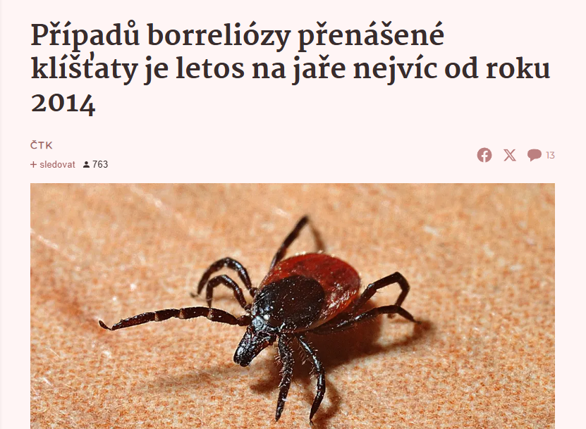 Kateřina Kybicová v Seznam Zprávy: Komáři borreliózu nepřenášejí