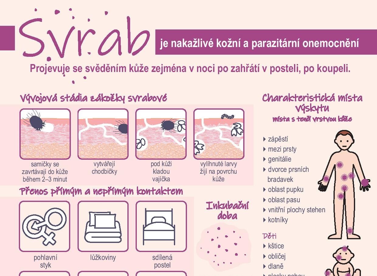 Svrab – základní informace o infekci, léčbě, informační leták