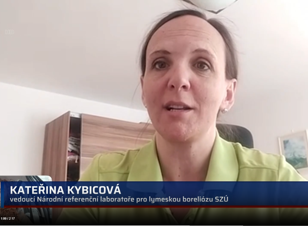 Prima: Pozor na infikováná klíšťata. I v městských parcích může až každé druhé přenášet lymeskou borreliózu