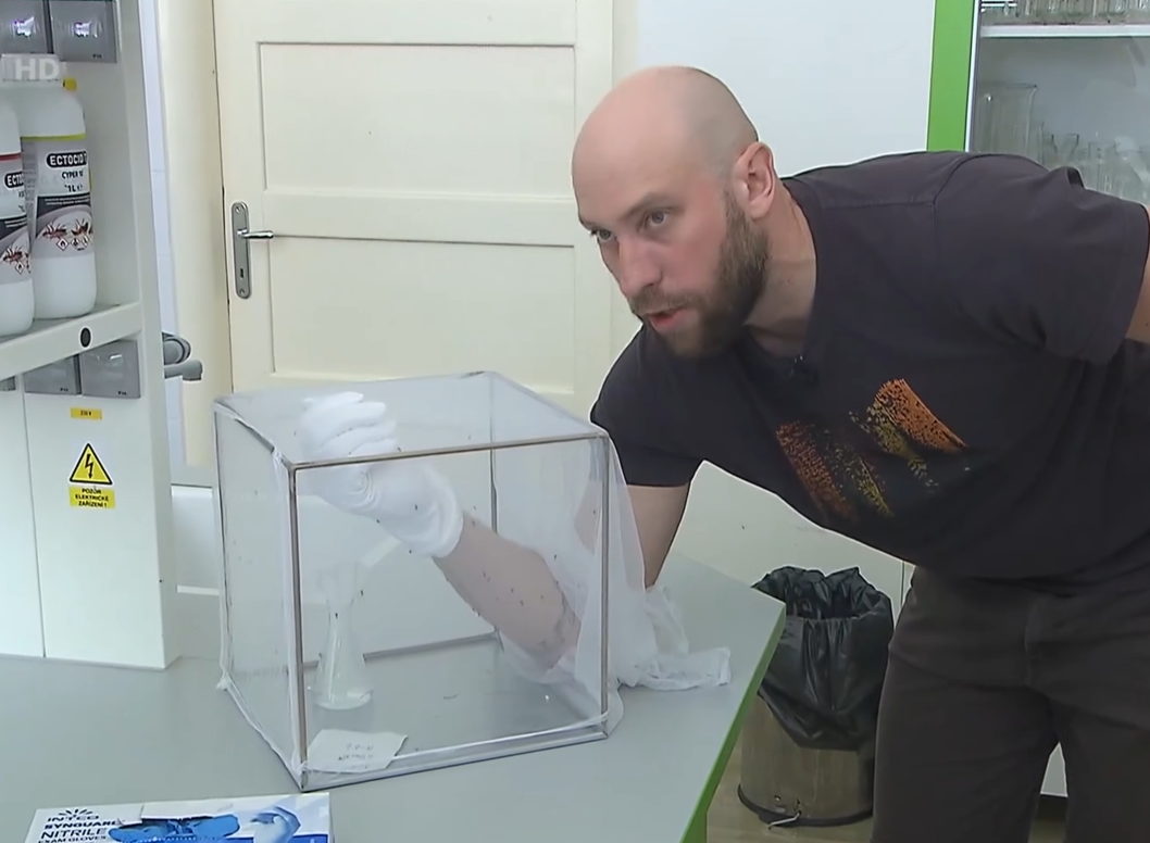 Martin Kulma pro ČT: Funkční ochrana před komáry? Moskytiéry, sítě do oken, repelent s účinnou látkou 20 až 50 %. Nikoli repelentní náramky či esenciální oleje.