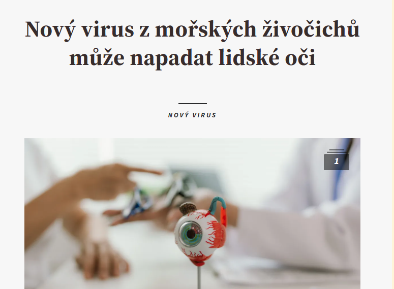 Echo24.cz: Nový virus z mořských živočichů může napadat lidské oči