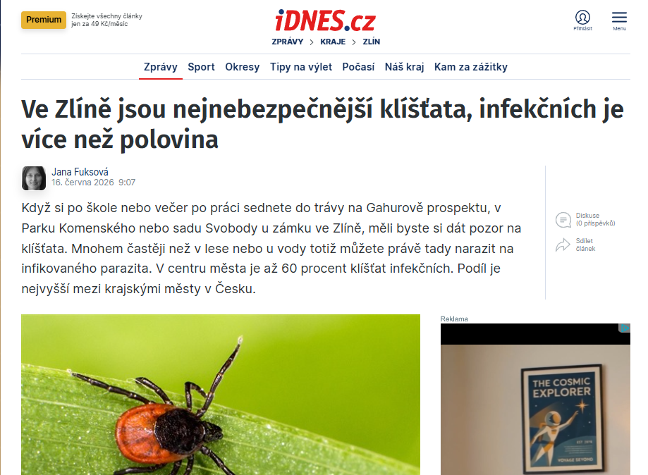 Kateřina Kybicová: Nejvíce infikovaná klíšťata jsou ve velkých městech