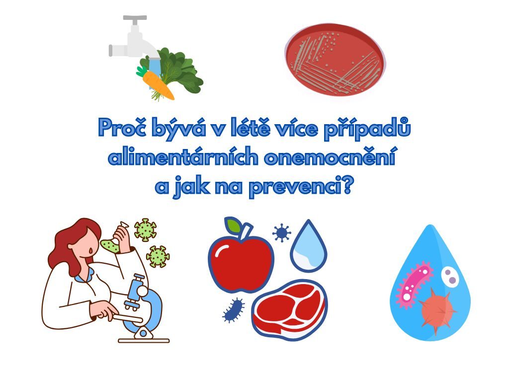 Proč bývá v létě více případů alimentárních onemocnění a jak na prevenci?