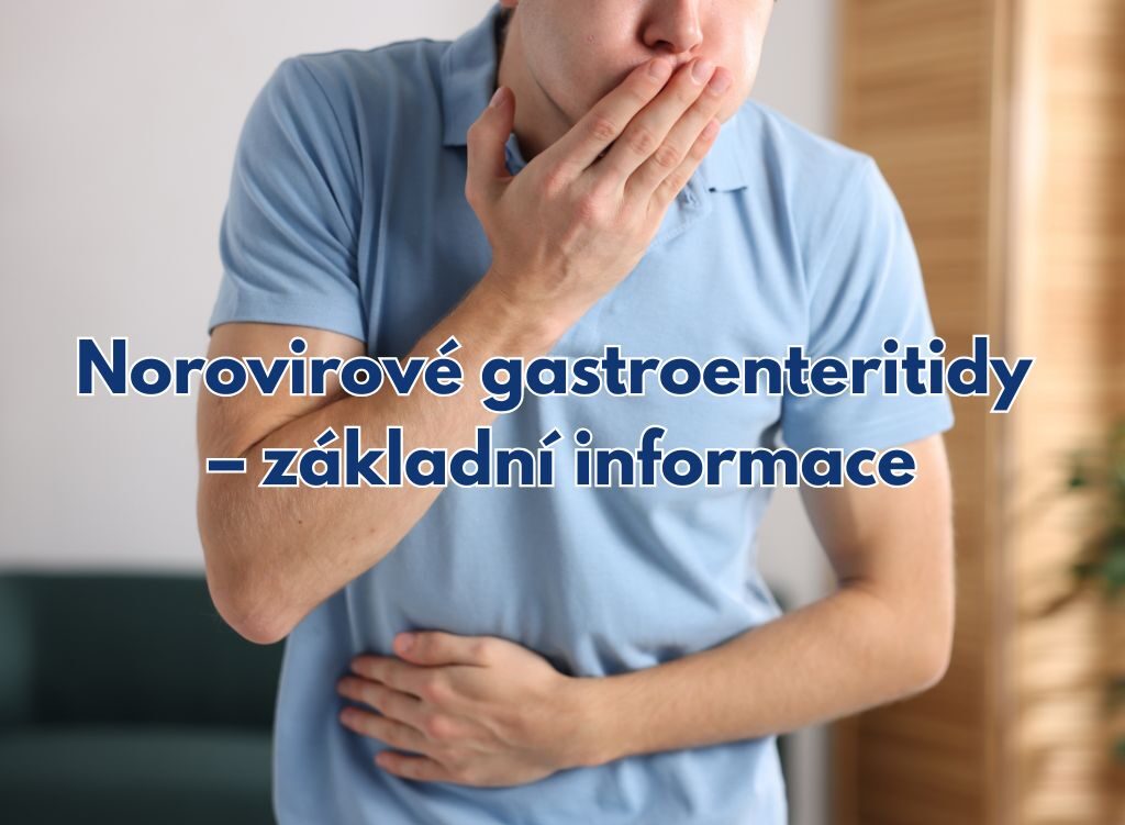 Norovirové gastroenteritidy – základní informace